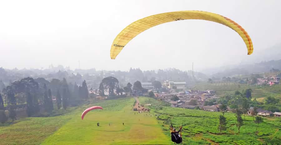Jakarta: Paragliding on Top Mountain & Tea Plantation - Why the Tea Plantation View Is the Perfect Second Half