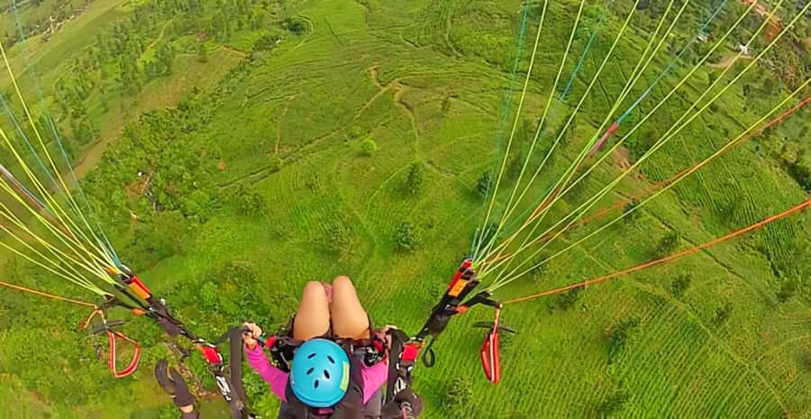 Jakarta: Paragliding on Top Mountain & Tea Plantation - Bogor Stop: Guided Time That Adds Context Before You Fly