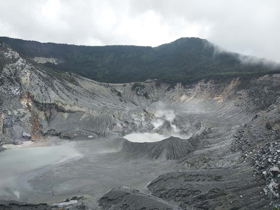 Jakarta: Volcano, Hot Spring, Tea, Rice Fields, &Coffee tour - Lembang lunch break: where to grab food without derailing the day