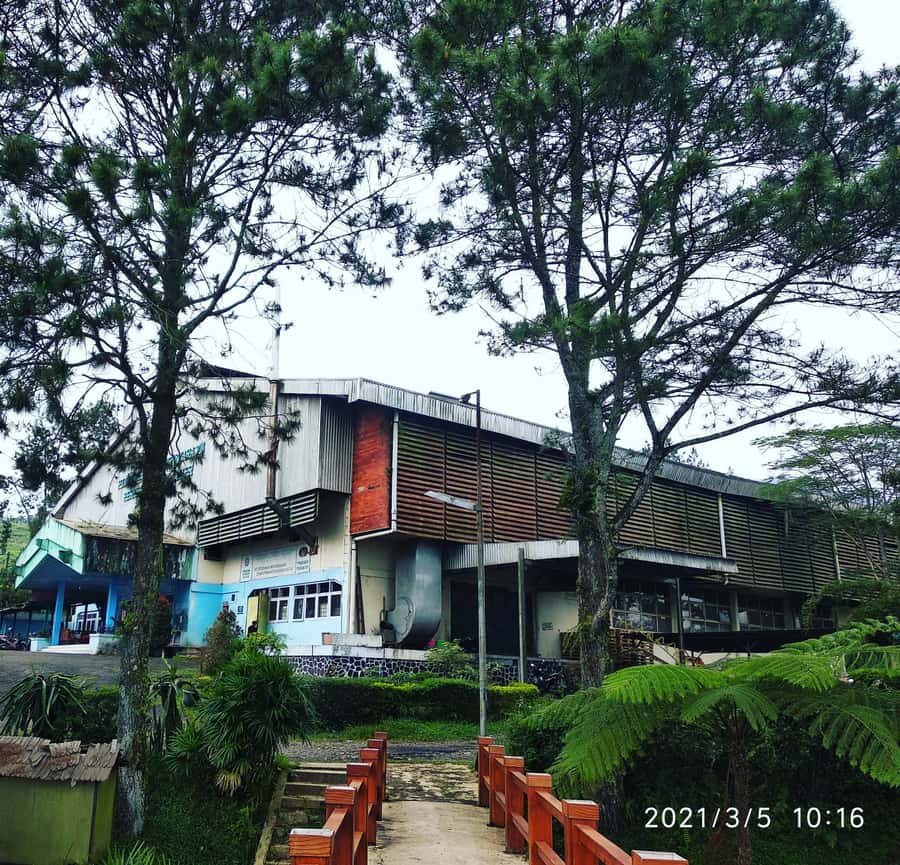 Jakarta :Volcano, HotSpring, Tea Factory, RiceField, &Coffee - Key reasons this Java day trip feels worth your time