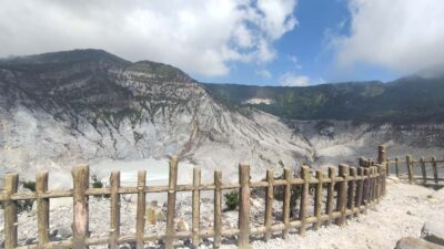 Jakarta :Volcano, HotSpring, Tea Factory, RiceField, &Coffee - Fruit Paradise: Pineapple Tasting in West Java