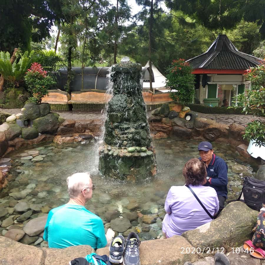Jakarta :Volcano, HotSpring, Tea Factory, RiceField, &Coffee - Ciater Tea Plantation and Factory: Black Tea From Leaf to Packet