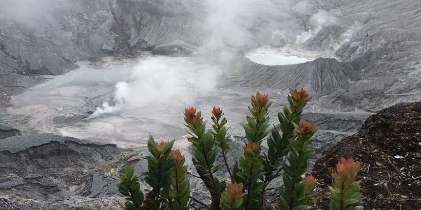 Jakarta: Volcano, Tea/Rice Fields, Hot Spring, Local Food - Tangkuban Parahu crater time: sulfur, bubbles, and that rumble