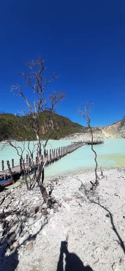 Jakarta: Waterfalls, Volcano, White Crater, Tea, Hot Spring - Tangkuban Perahu: active volcano views, guided and timed