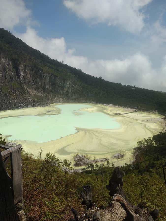 Jakarta: Waterfalls, Volcano, White Crater, Tea, Hot Spring - Tea plantation photo time: green hills with a purpose