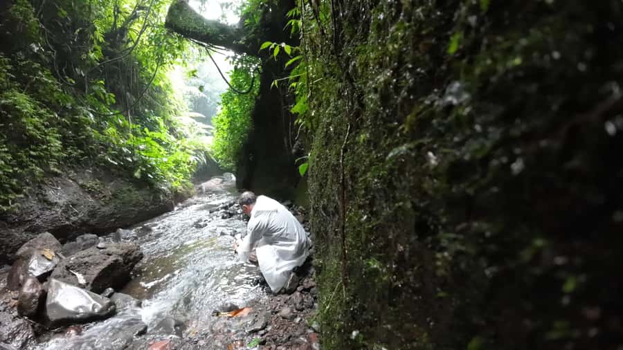 Jakarta: Waterfalls, Volcano, White Crater, Tea, Hot Spring - Who this tour suits best (and who should think twice)