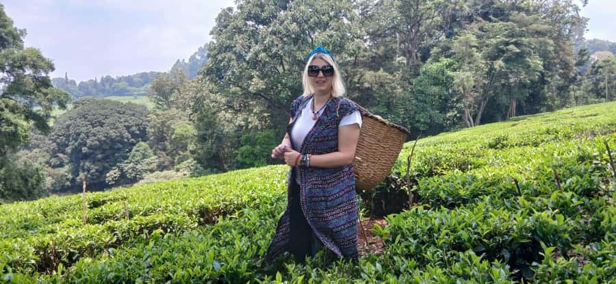 Kaimbethu tea farm tour and lunch package - Tea farm day trip from Nairobi: what it’s really like
