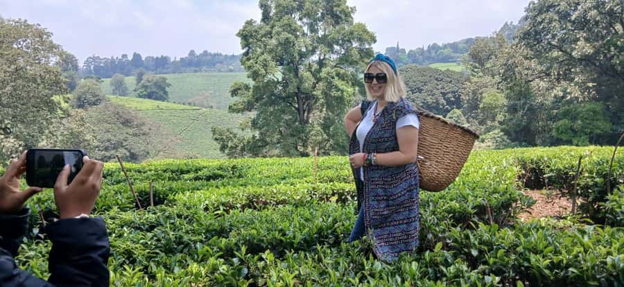 Kaimbethu tea farm tour and lunch package - Views on the way: Nairobi gets replaced by Kenya scenery