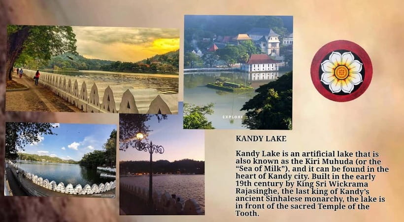Kandy: City Tour with Temple of the Tooth & Tea Garden - Key things that make this Kandy tour worth your day