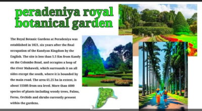 Kandy: City Tour with Temple of the Tooth & Tea Garden - Temple of the Tooth Ceremony and Buddhism Stories with Harsha