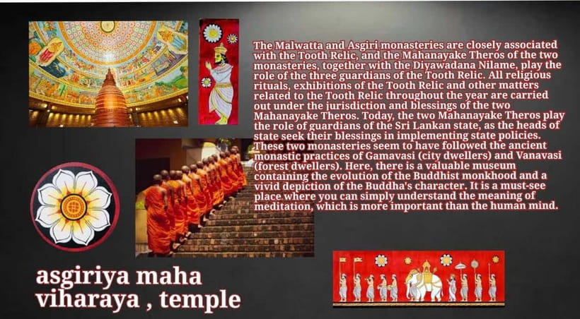 Kandy: City Tour with Temple of the Tooth & Tea Garden - Traditional Dance Show and Kandy Street Food Stops