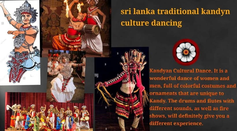 Kandy: City Tour with Temple of the Tooth & Tea Garden - Price and Inclusions: Getting Your Money’s Worth in Kandy