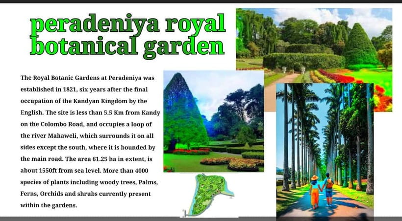 Kandy: City Tour with Temple of the Tooth & Tea Garden - Temple of the Tooth Ceremony and Buddhism Stories with Harsha