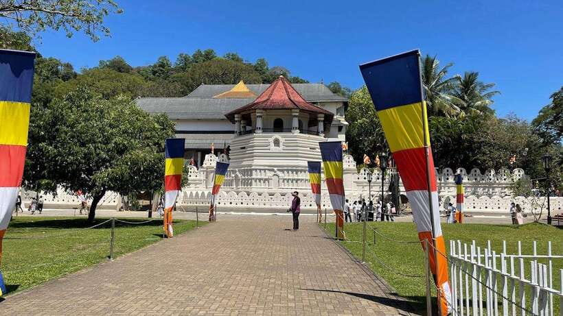 Kandy & Pinnawala & Tea Factory Full Day Tour From Negombo - Key highlights I’d build a day around