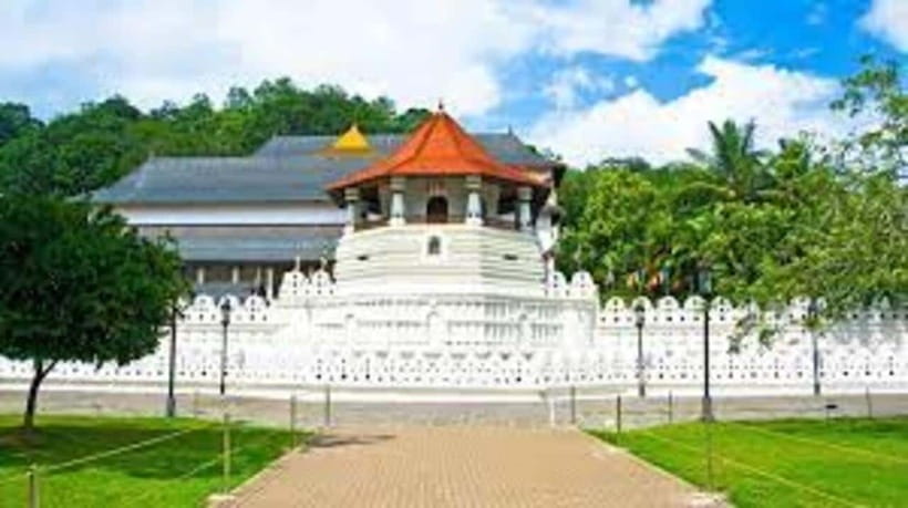 Kandy & Pinnawala & Tea Factory Full Day Tour From Negombo - Pinnawala’s Millennium Elephant Foundation: the animal time that anchors the day