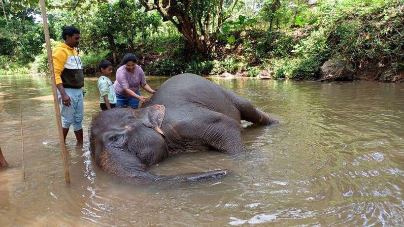 Kandy & Pinnawala & Tea Factory Full Day Tour From Negombo - Temple of the Sacred Tooth Relic: the spiritual centerpiece