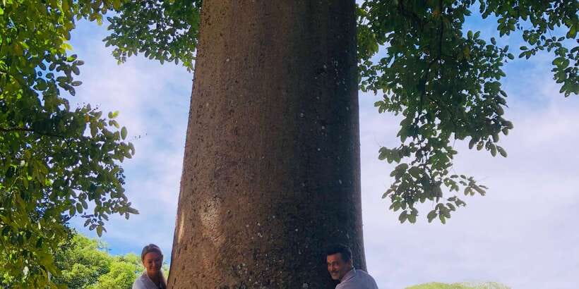 Kandy privet day tour with pinnawala and Tea plantation - Key highlights worth your time