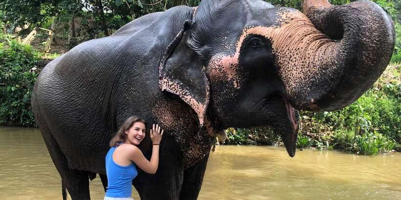 Kandy privet day tour with pinnawala and Tea plantation - How this Kandy day tour balances big sights and real stops
