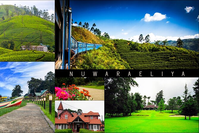 Kandy to Nuwara Eliya Day Trip – Little England & Tea Country - Key highlights I’d bet on