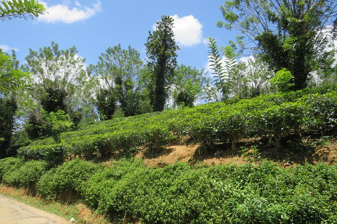 Kandy to Nuwara Eliya Day Trip – Little England & Tea Country - Sri Baktha Hanuman Temple near Ramboda: quick, spiritual, and easy to fit
