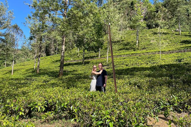 Kandy to Nuwara Eliya Day Trip – Little England & Tea Country - Bluefield Tea Gardens near Ramboda: tea country at about 1200m