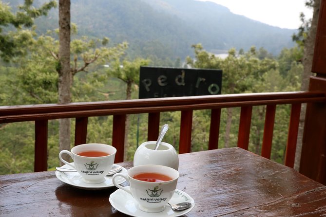 Kandy to Nuwara Eliya Day Trip – Little England & Tea Country - Gregory Lake in Nuwara Eliya: British-era engineering in the tea hills