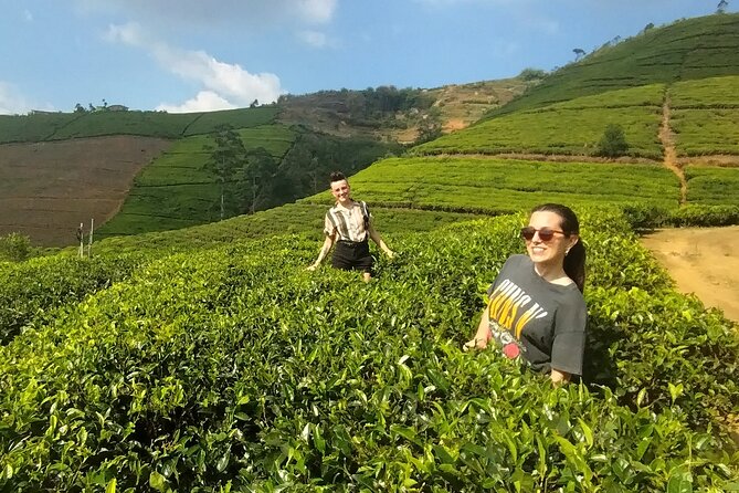 Kandy to Nuwara Eliya Private Day Tour: Tea Factory& Gregory Lake - Key highlights you should know