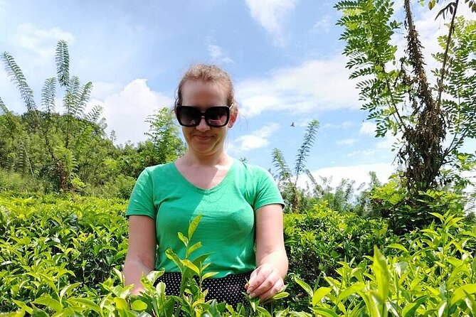 Kandy to Nuwara Eliya Private Day Tour: Tea Factory& Gregory Lake - From Kandy to Nuwara Eliya: what makes this drive worth your time