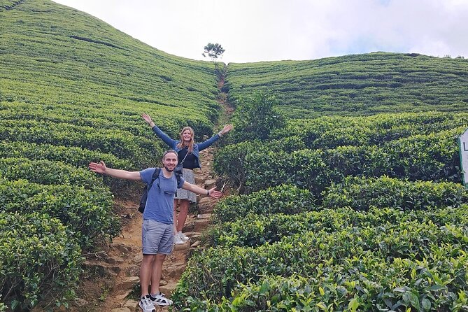 Kandy to Nuwara Eliya Private Day Tour: Tea Factory& Gregory Lake - Hakgala Botanic Gardens: plants, mist, and an easy final hour