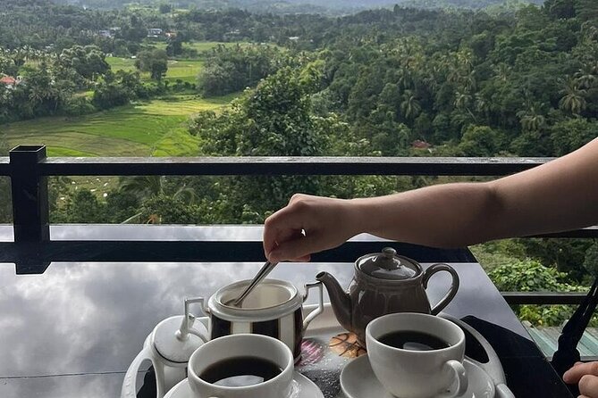 Kandy to Nuwara Eliya Private Day Tour: Tea Factory& Gregory Lake - Your ride choice: tuk-tuk vs van (and how to decide)
