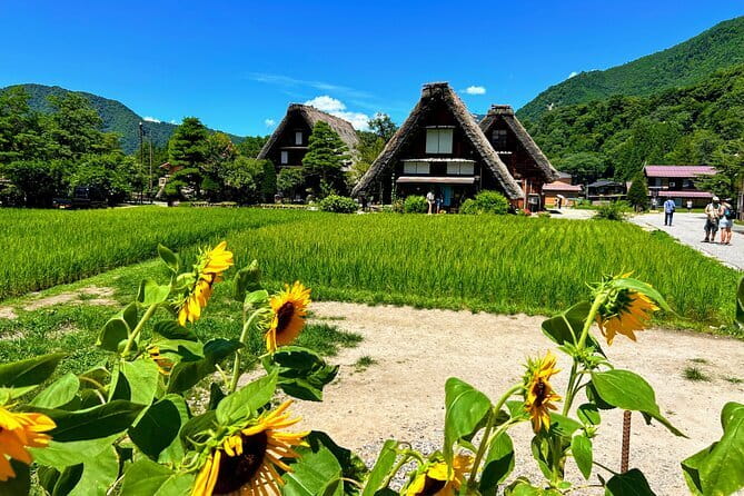 Kenrokuen Tea Ceremony Experience in Kanazawa - Value Check: Is $39.40 Worth It?