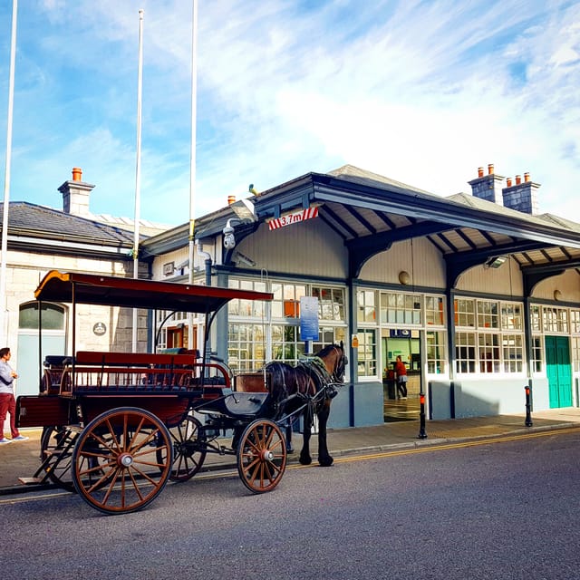 Killarney: Jaunting Car Tour with Afternoon Tea - Tips to make your jaunting car and high tea day go smoothly