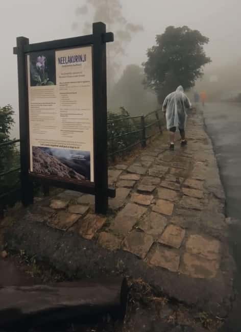 Kochi to Munnar: Eravikulam, lockhart & Waterfalls day tour - Eravikulam National Park and the Nilgiri Tahr Trek: What to Watch For