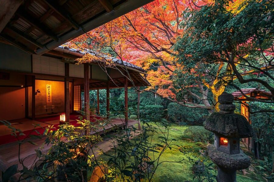 Kyoto: Nighttime Zen Meditation and Matcha Tea Experience - Key things you’ll notice right away