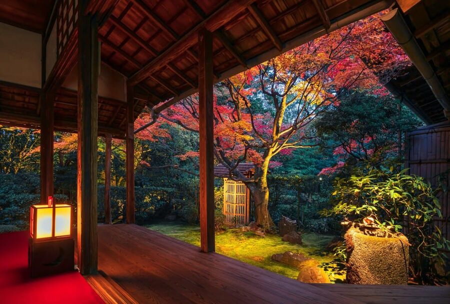 Kyoto: Nighttime Zen Meditation and Matcha Tea Experience - Four Gardens After Dark: The Illumination Is the Point