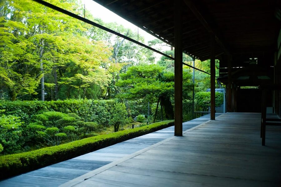 Kyoto: Nighttime Zen Meditation and Matcha Tea Experience - Meeting at Keishunin: The 90 Minutes That Keep You From Rushing