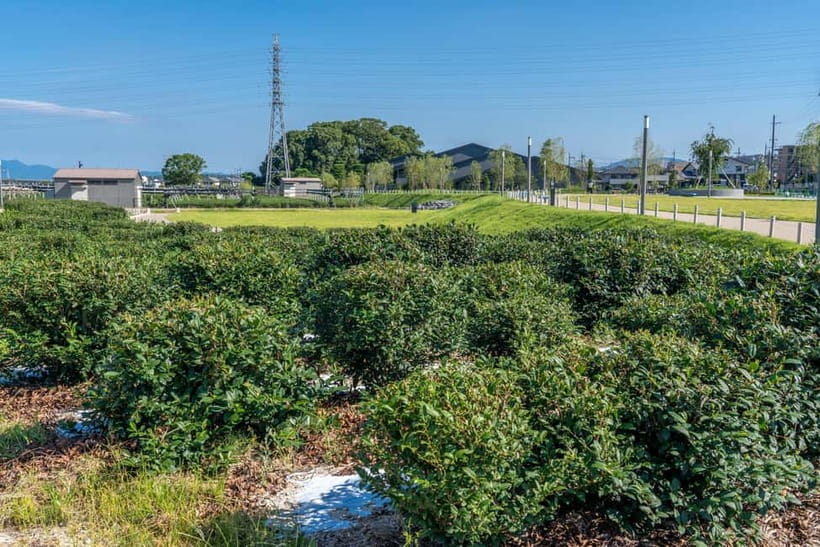 Kyoto: Tea Museum Tickets and Matcha Grinding Experience - Whisk, brew, and taste: learning matcha the instructor way