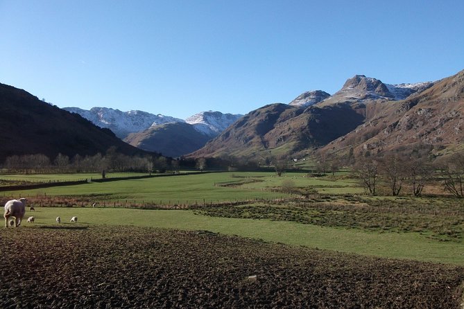 Lake District from Liverpool including Lake Cruise - Tarn Hows and Hawkshead: viewpoints plus real village time