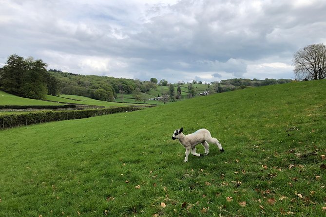 Lake District from Liverpool including Lake Cruise - Lunch, timing, and the reality of a packed 9-hour day
