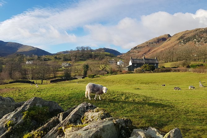 Lake District from Manchester Including Lake Cruise - Tarn Hows: a short stop with a big scenery payoff