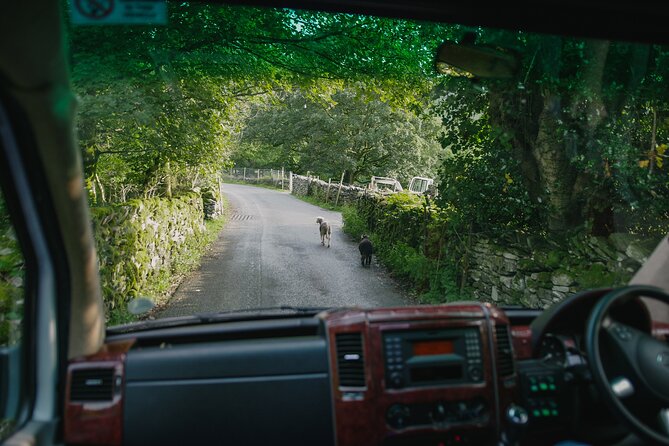 Lake District from Manchester Including Lake Cruise - Weather, photo expectations, and real-time day management
