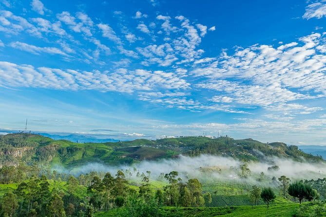 Lipton's Seat and Tea Factory,Trail Amidst Tea Plantation Day Tour - Quick takeaways on Lipton’s Seat and Dambatenna