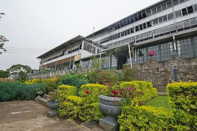 Lipton's Seat and Tea Factory,Trail Amidst Tea Plantation Day Tour - Who should book this tour—and who might want a different style