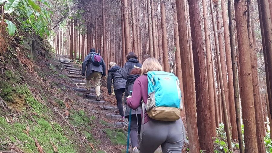 Lomba de São Pedro: Waterfall Hiking Tour with Tea Tasting - What to Bring So the Day Feels Easy