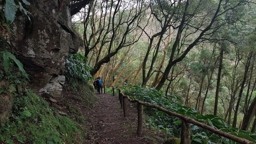 Lomba de São Pedro: Waterfall Hiking Tour with Tea Tasting - Picnic Lunch Built for Real Hiking Time