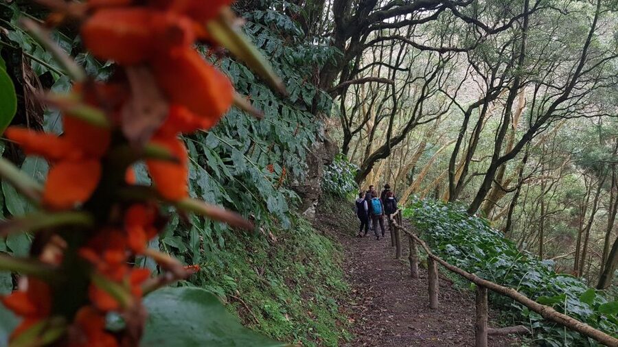 Lomba de São Pedro: Waterfall Hiking Tour with Tea Tasting - Ribeira dos Caldeirões Natural Park: The Waterfall Finish