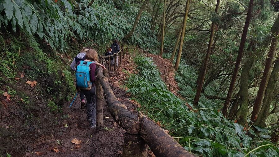 Lomba de São Pedro: Waterfall Hiking Tour with Tea Tasting - Santa Iria Lookout: A Final Photo-and-Reset Stop