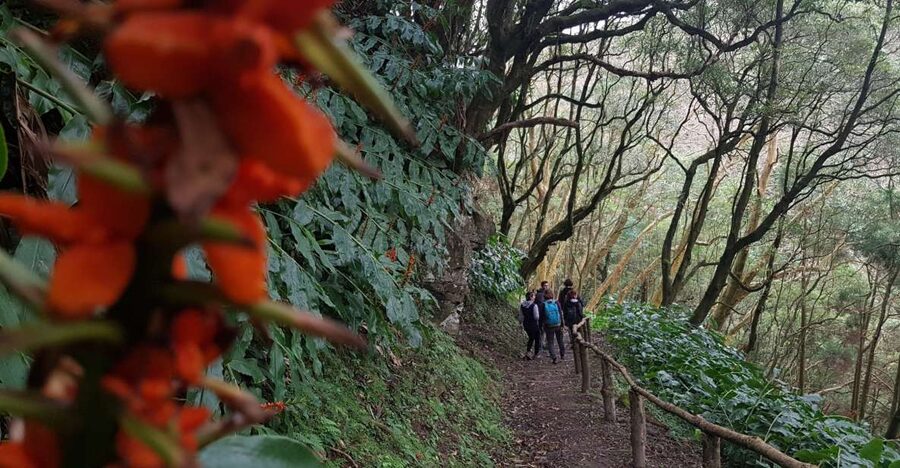 Lomba de São Pedro: Waterfall Hiking Tour with Tea Tasting - Guides and Safety: What the Best Days Have in Common