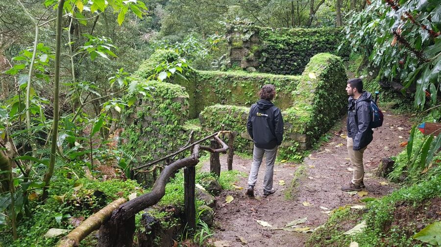 Lomba de São Pedro: Waterfall Hiking Tour with Tea Tasting - Price and Logistics: Why $76 Can Feel Like Good Value