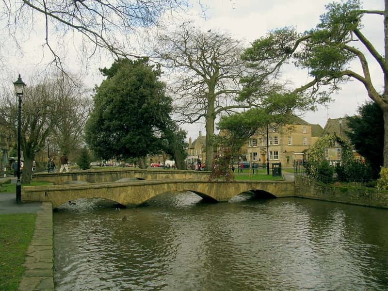 London: Cream Tea at Blenheim Palace & the Cotswolds Tour - Cream Tea at Blenheim Palace: tasty, but watch your timing